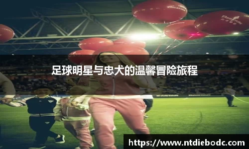 足球明星与忠犬的温馨冒险旅程